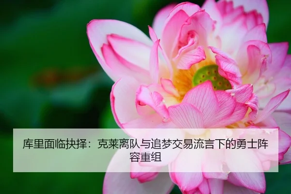 库里面临抉择：克莱离队与追梦交易流言下的勇士阵容重组