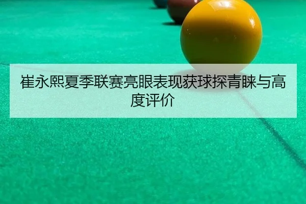 cui-yong-xi-xia-ji-lian-sai-liang-yan-biao-xian-huo-qiu-tan-qing-lai-yu-gao-du-ping-jia-3-417.jpg