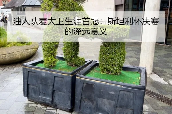 you-ren-dui-mai-da-wei-sheng-ya-shou-guan-si-tan-li-bei-jue-sai-de-shen-yuan-yi-yi-3-900.jpg